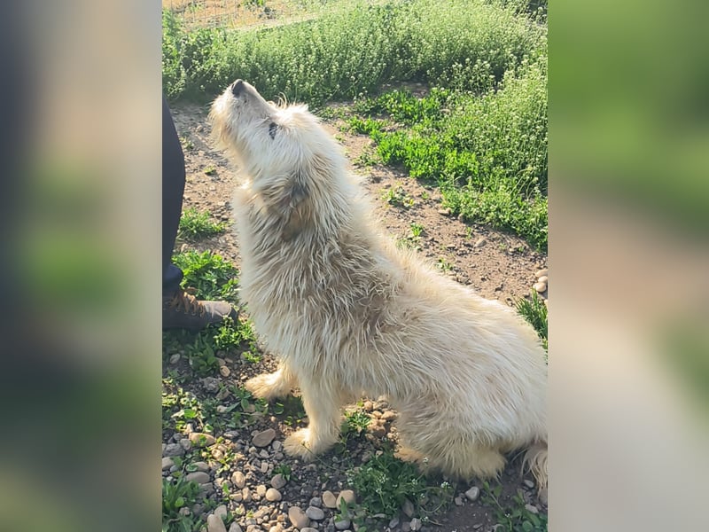 VIATA heißt Leben...