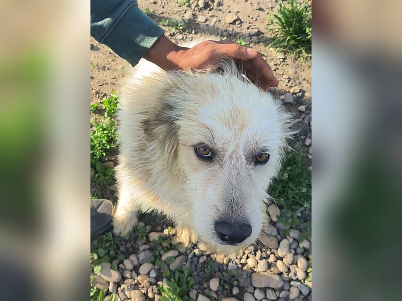 VIATA heißt Leben...