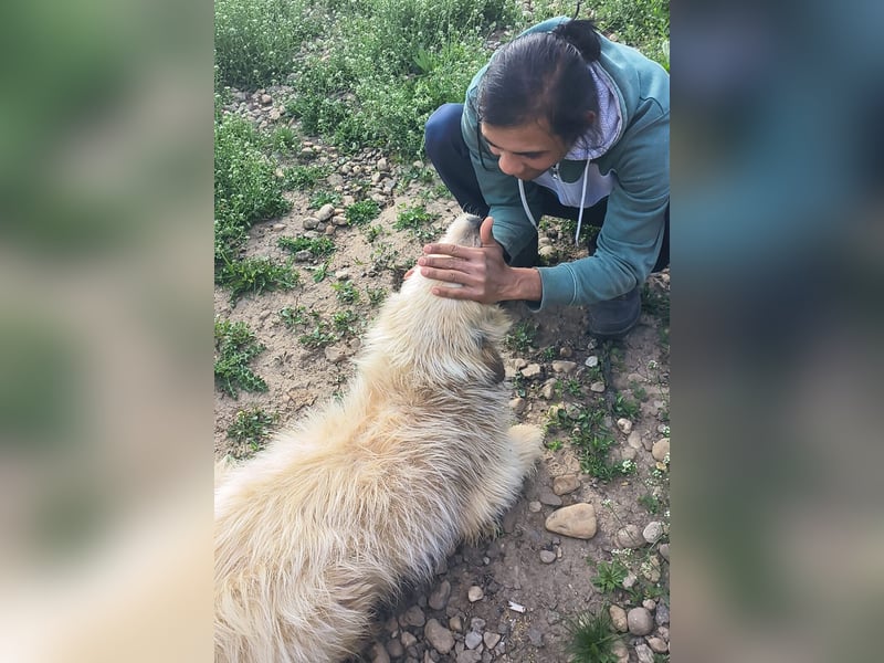 VIATA heißt Leben...