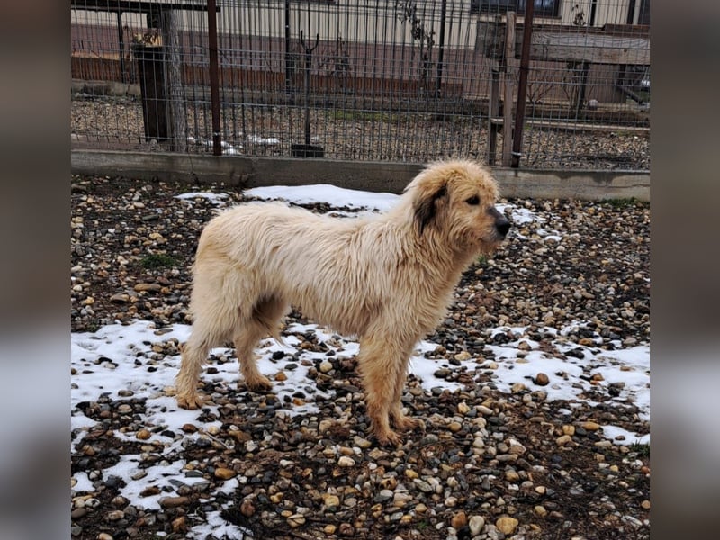 VIATA heißt Leben...