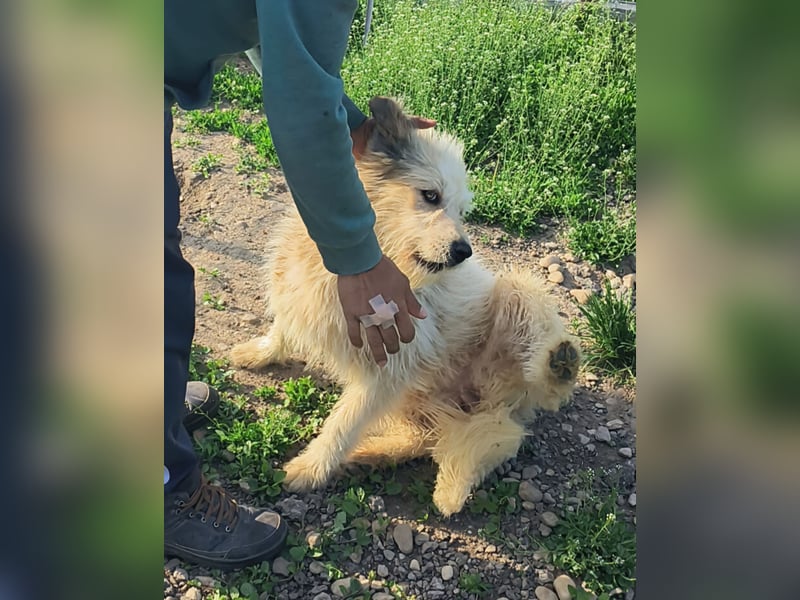 VIATA heißt Leben...