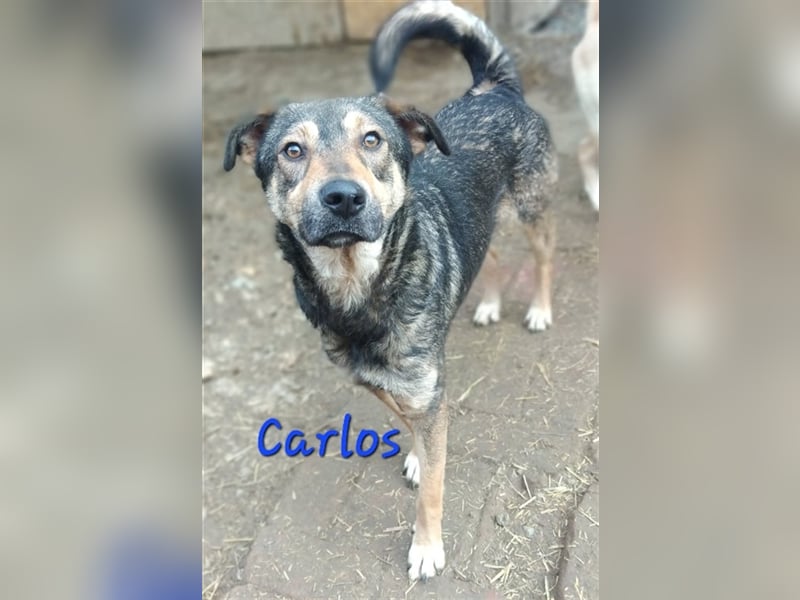 CARLOS