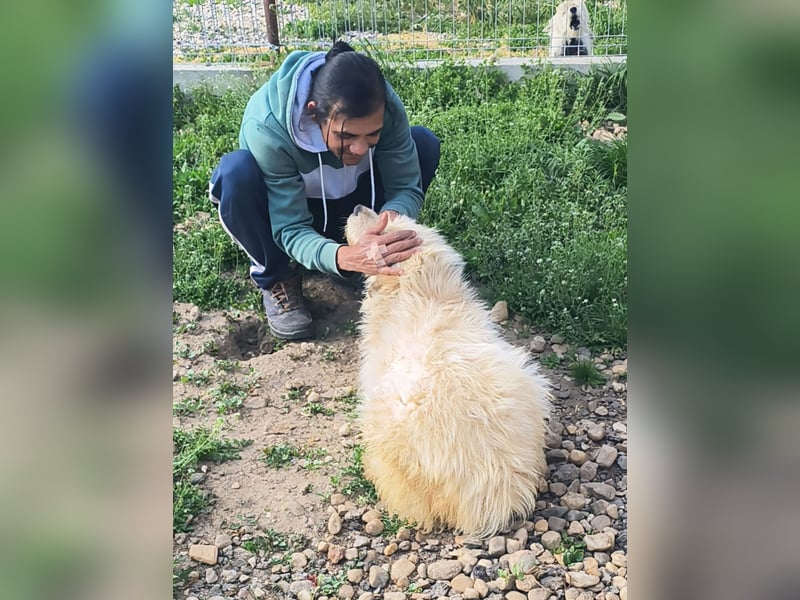 VIATA heißt Leben...