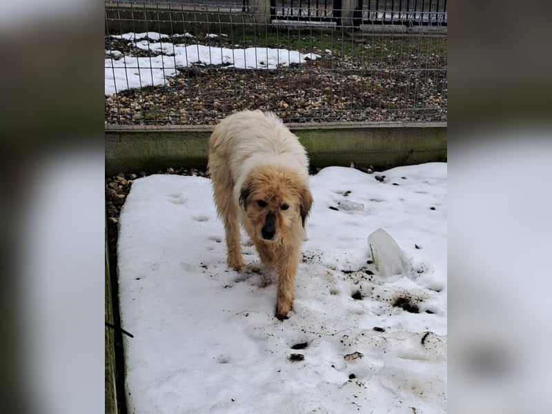 VIATA heißt Leben...