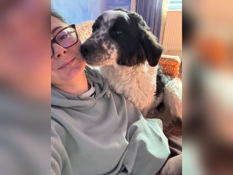 CALIN sucht seine Menschen