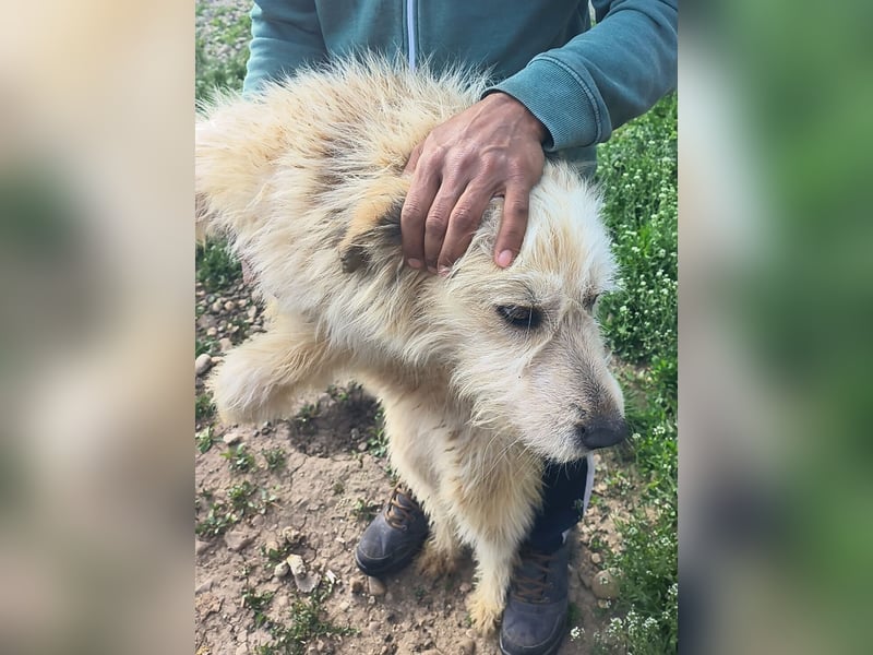 VIATA heißt Leben...