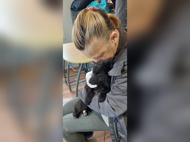 Para, zarte Seele sucht ruhiges Zuhause