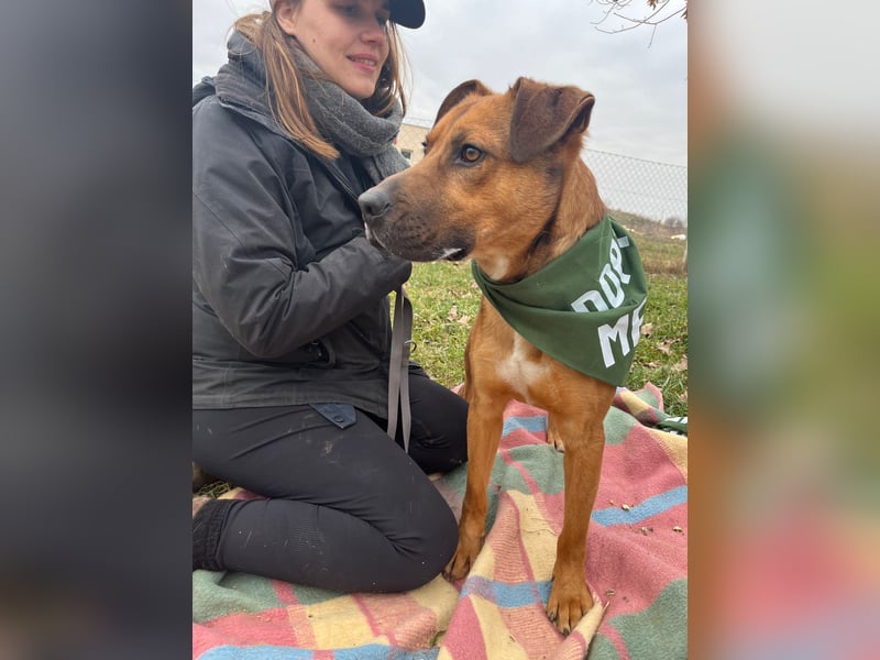 Drogba, freundlich und aufmerksam hat sein Zuhause verloren