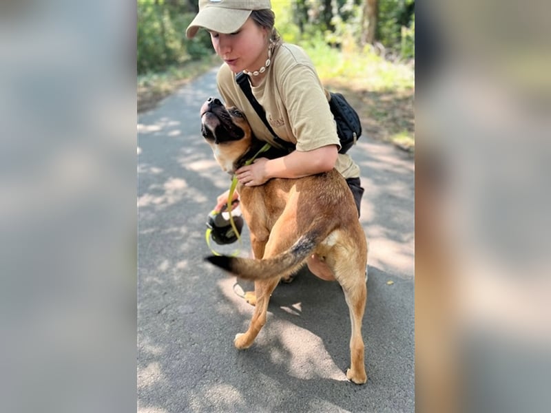 Drogba, freundlich und aufmerksam hat sein Zuhause verloren