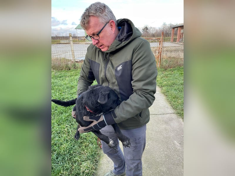 Harmadik, aktive und unkompliziert