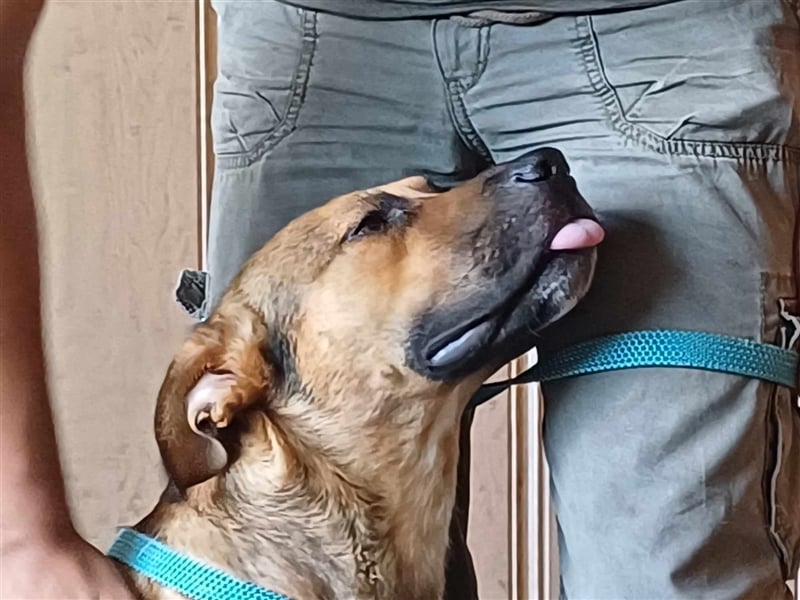 Drogba, freundlich und aufmerksam hat sein Zuhause verloren