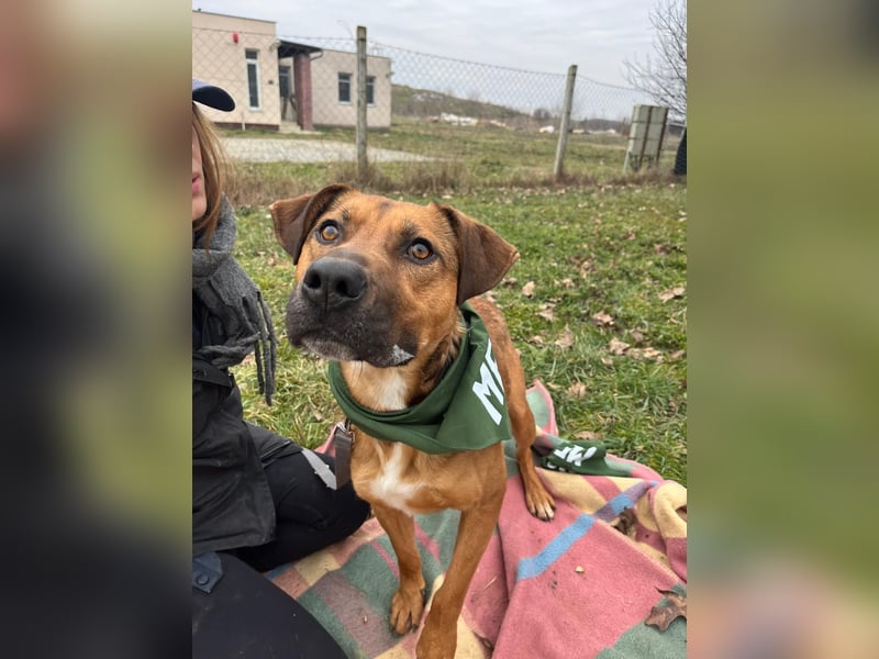 Drogba, freundlich und aufmerksam hat sein Zuhause verloren