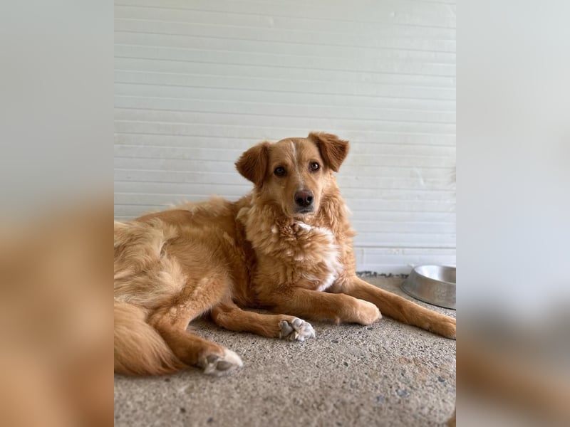 Konni, ein 4 jähriges Mädel , etwas schüchtern, ruhig, neugierig, sozial