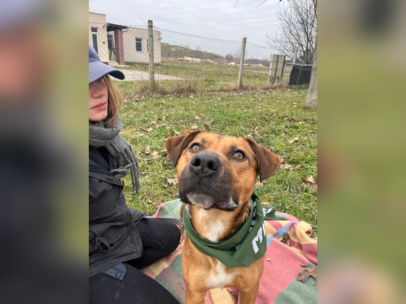 Drogba, freundlich und aufmerksam hat sein Zuhause verloren