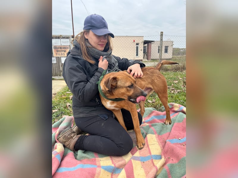 Drogba, freundlich und aufmerksam hat sein Zuhause verloren