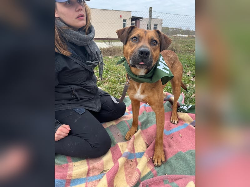 Drogba, freundlich und aufmerksam hat sein Zuhause verloren