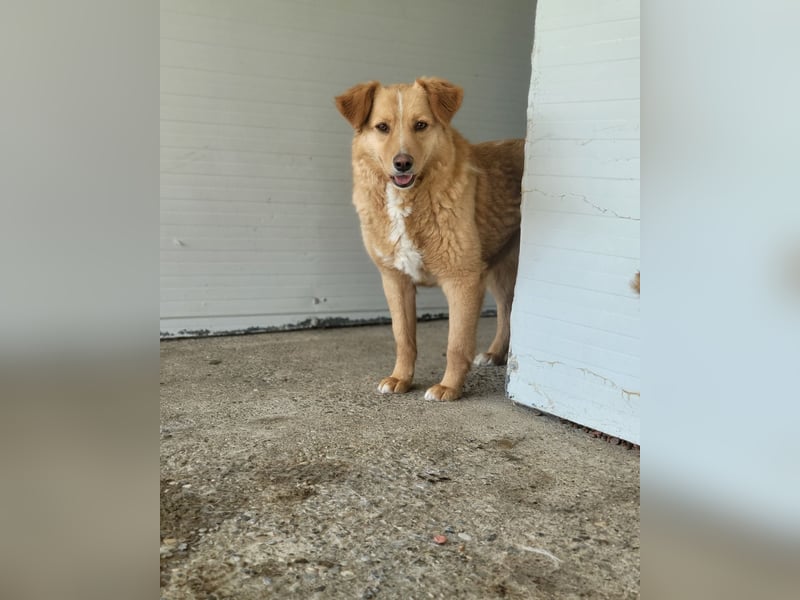 Konni, ein 4 jähriges Mädel , etwas schüchtern, ruhig, neugierig, sozial