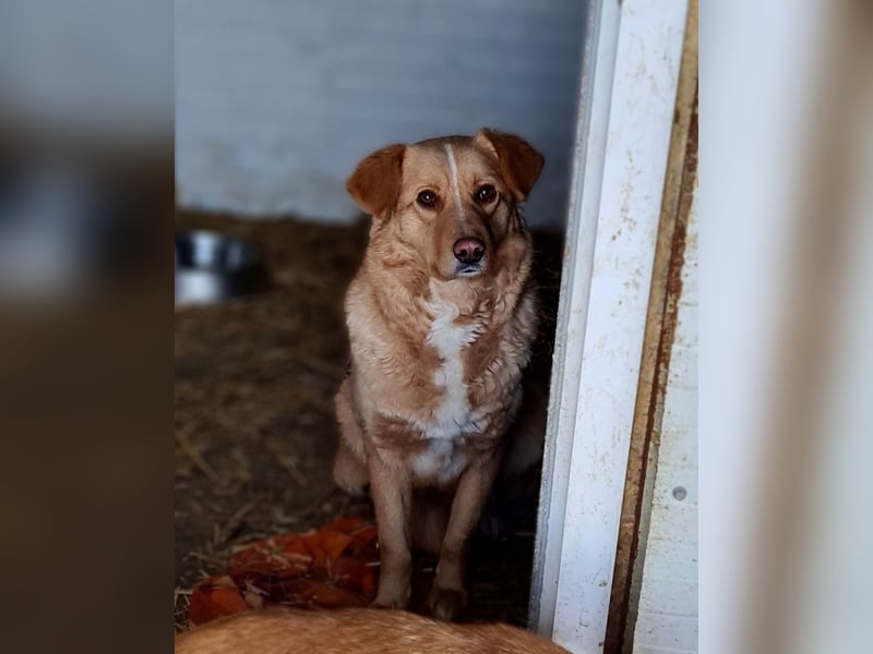 Konni, ein 4 jähriges Mädel , etwas schüchtern, ruhig, neugierig, sozial