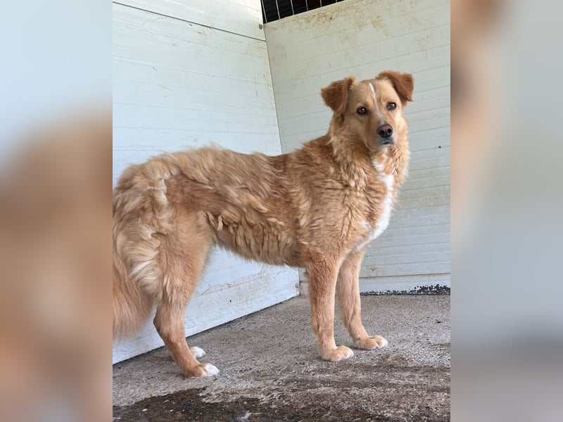 Konni, ein 4 jähriges Mädel , etwas schüchtern, ruhig, neugierig, sozial