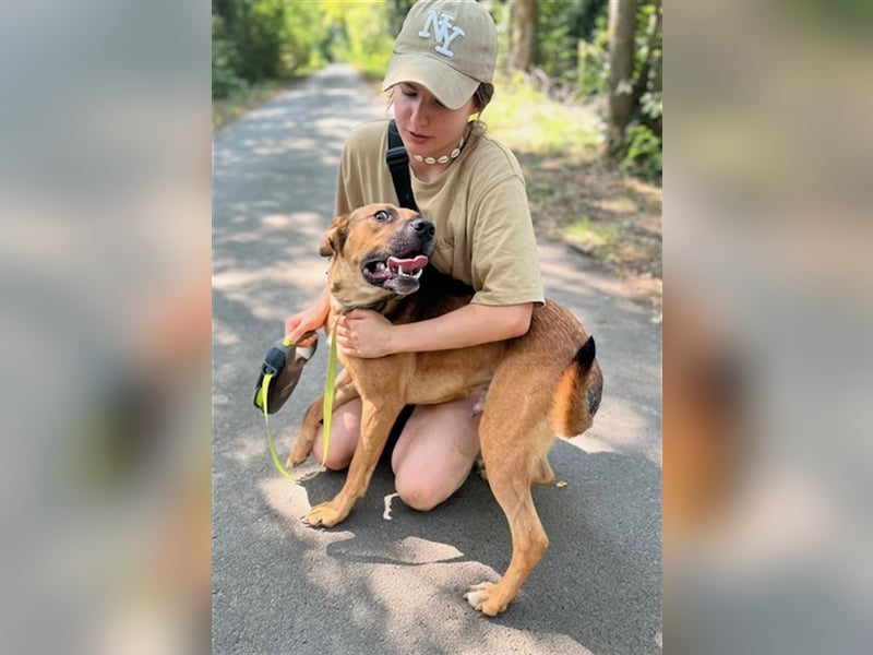 Drogba, freundlich und aufmerksam hat sein Zuhause verloren