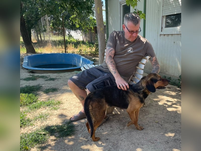 Bonni, zauberhafte Lady sucht Traumzuhause