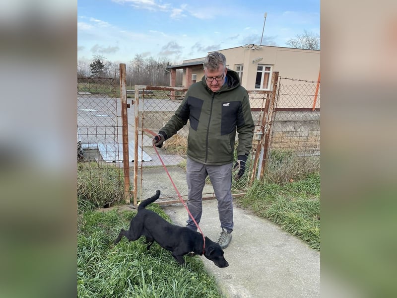 Harmadik, aktive und unkompliziert