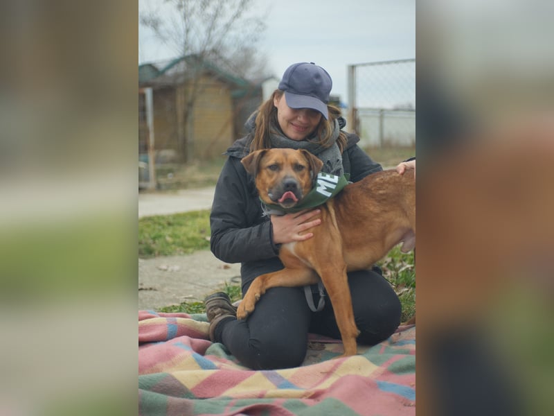 Drogba, freundlich und aufmerksam hat sein Zuhause verloren