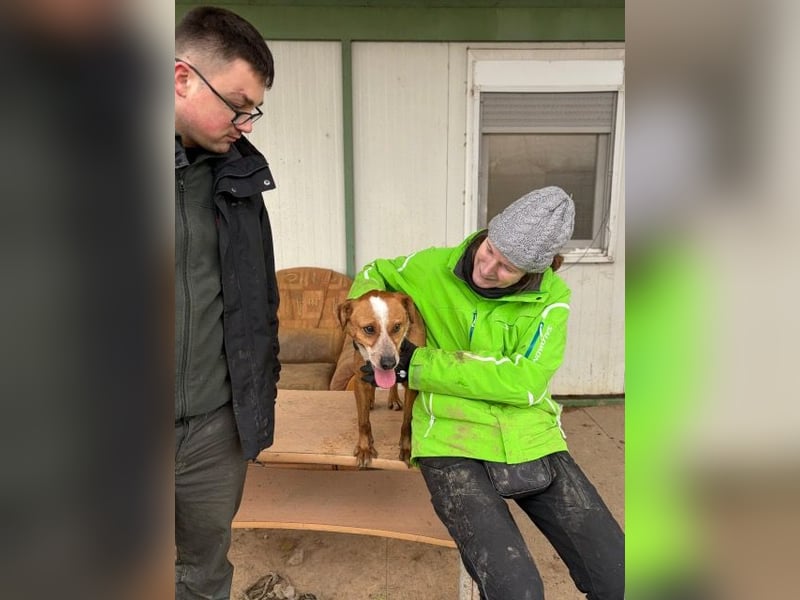 Baro verspielt und lieb
