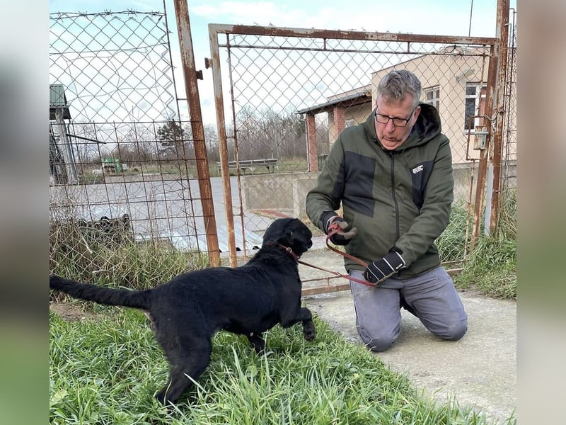 Harmadik, aktive und unkompliziert