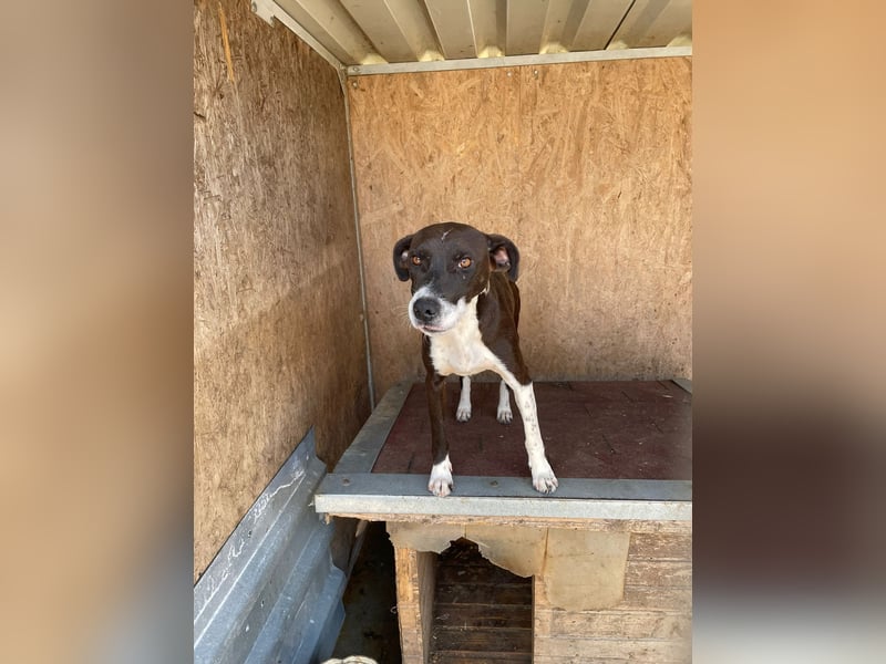 Color, anfänglich zurückhaltend sucht Traumzuhause