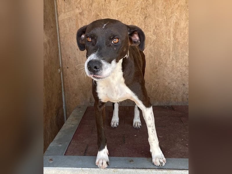 Color, anfänglich zurückhaltend sucht Traumzuhause