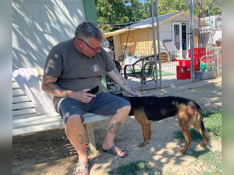 Bonni, zauberhafte Lady sucht Traumzuhause