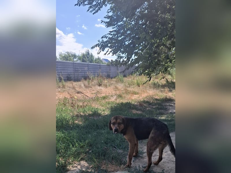 Bonni, zauberhafte Lady sucht Traumzuhause
