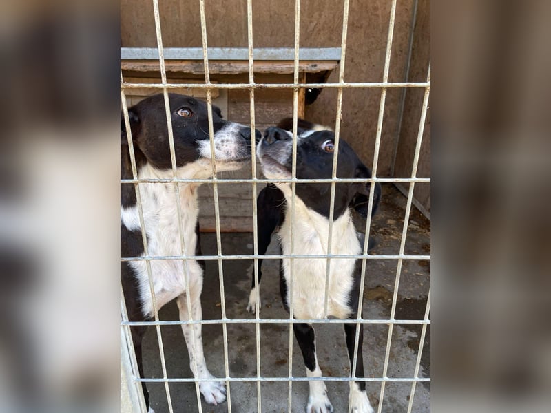 Color, anfänglich zurückhaltend sucht Traumzuhause