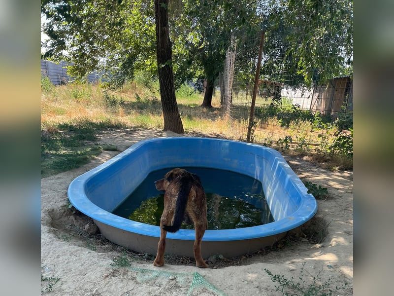 Bonni, zauberhafte Lady sucht Traumzuhause