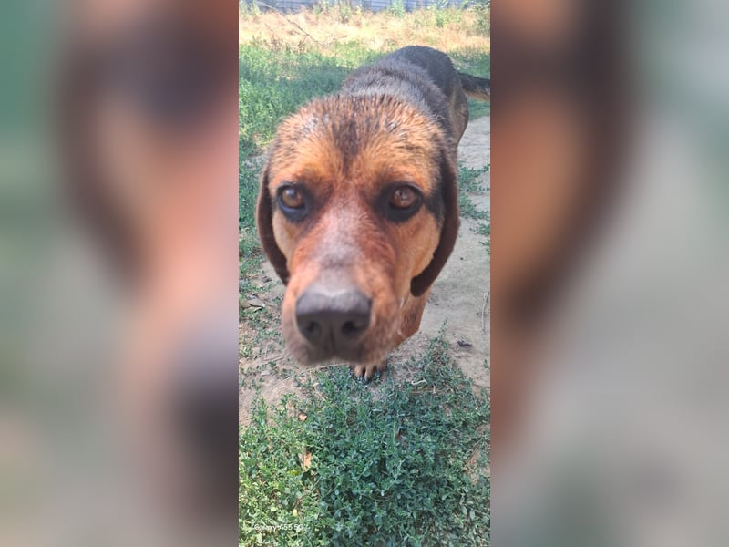 Bonni, zauberhafte Lady sucht Traumzuhause