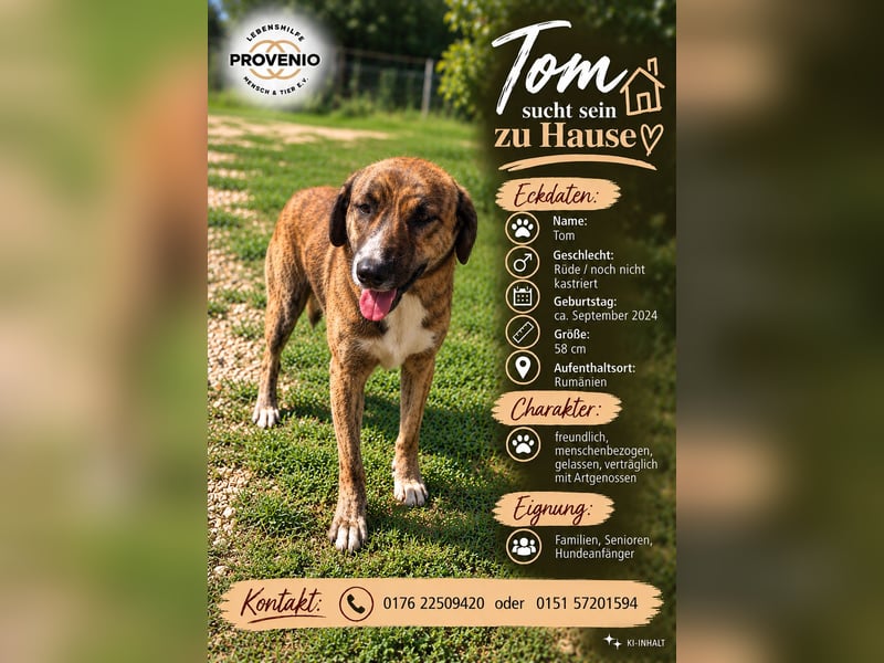 Tom sucht sein Glück