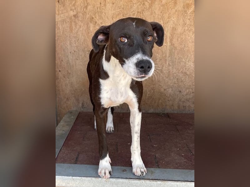 Color, anfänglich zurückhaltend sucht Traumzuhause