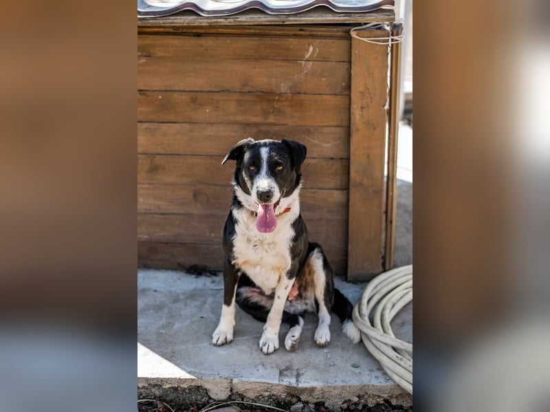 Über drei Jahre wartet Dotty nun schon auf ihre Familie