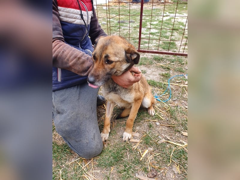 Zahra sucht ihr Daheim