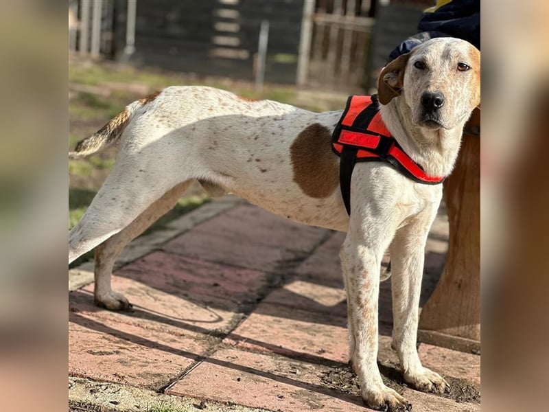 LUCK (*2023) möchte gerne ankommen