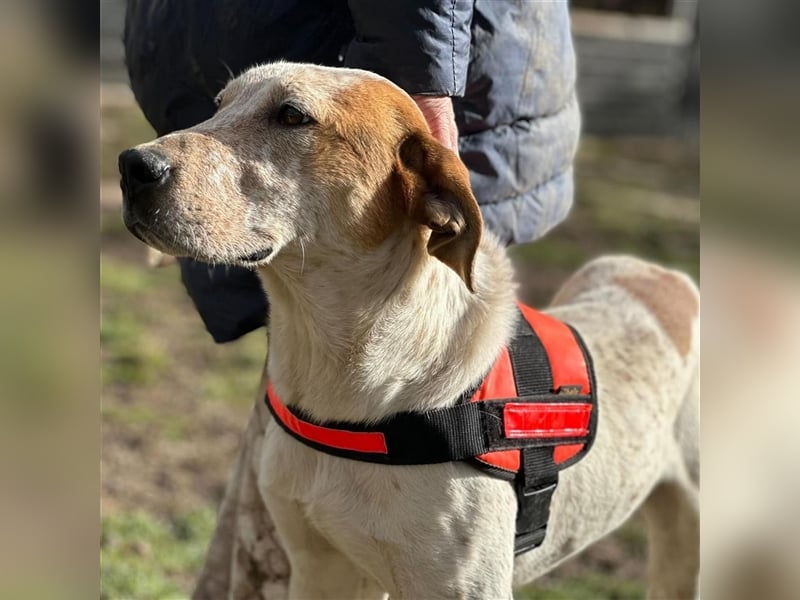 LUCK (*2023) möchte gerne ankommen