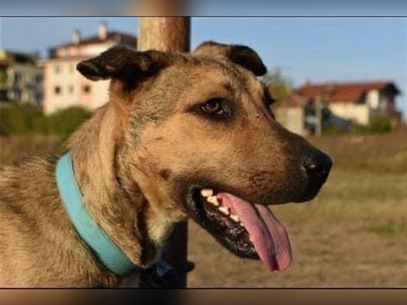 CHERI (*2022) auf der Suche nach Liebe