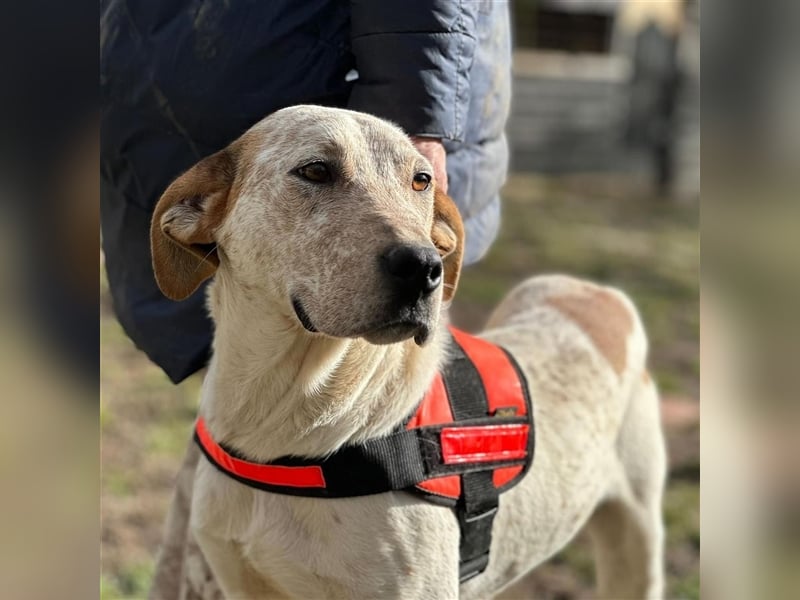 LUCK (*2023) möchte gerne ankommen