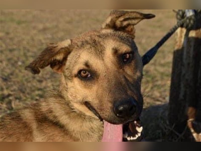 CHERI (*2022) auf der Suche nach Liebe