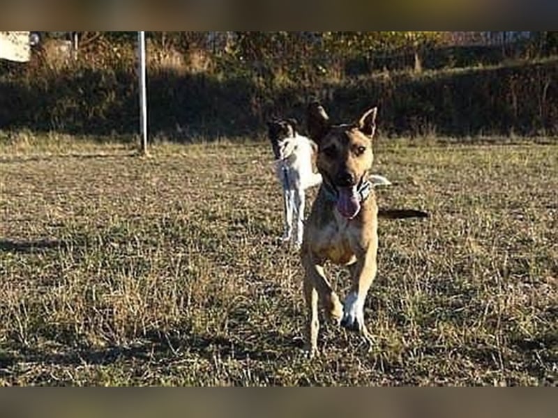 CHERI (*2022) auf der Suche nach Liebe