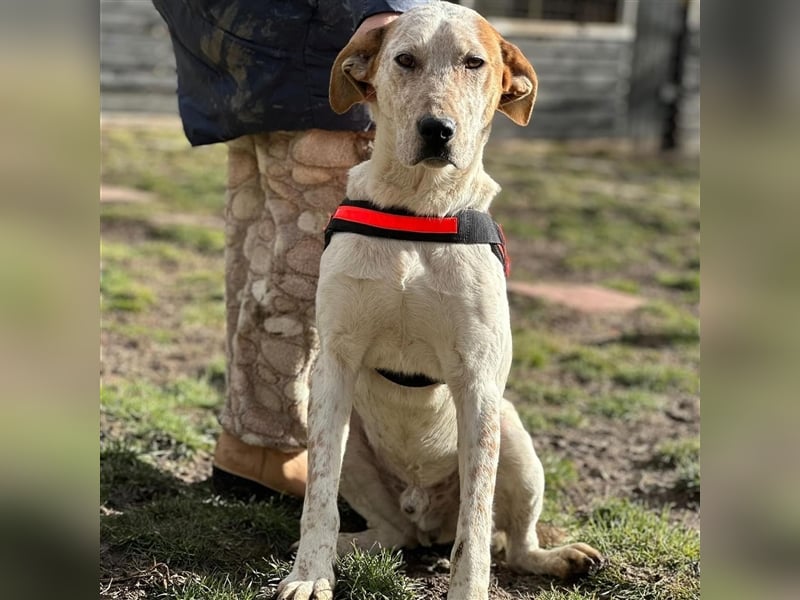 LUCK (*2023) möchte gerne ankommen