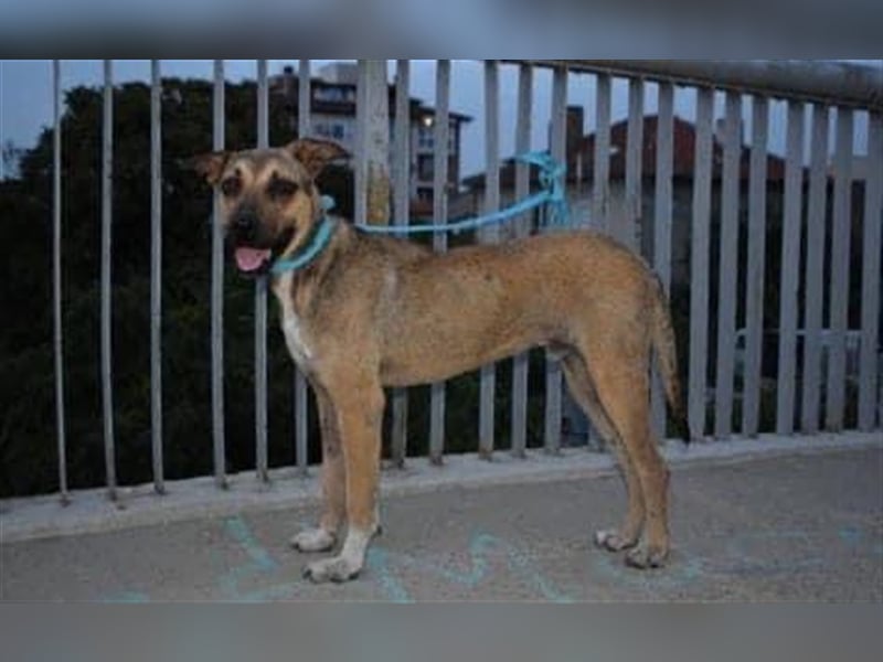 CHERI (*2022) auf der Suche nach Liebe