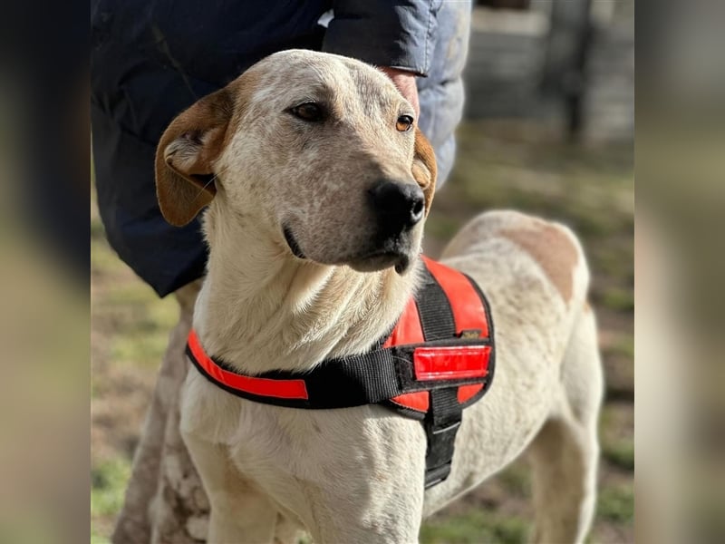 LUCK (*2023) möchte gerne ankommen
