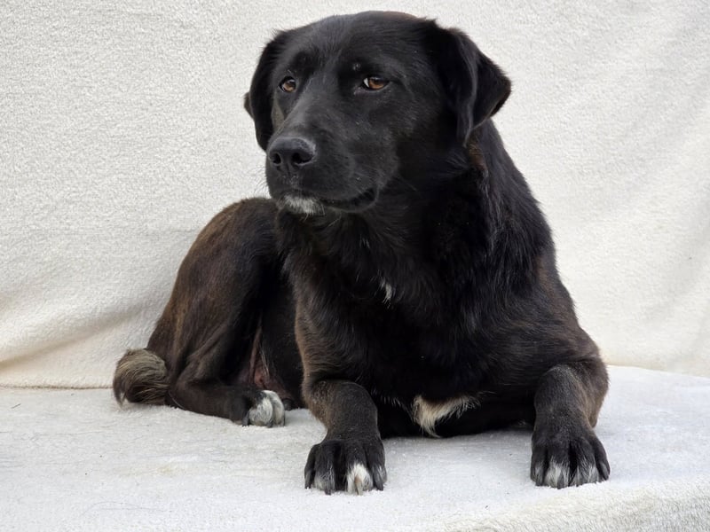 Naomi – Eine sanfte Seele mit mutigem Herzen